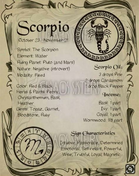 Scorpio Zodiac Sign, Scorpio Zodiac Facts, Zodiac Book, Zodiac Signs Scorpio, Scorpio Horoscope, Wiccan Spell Book, Witchcraft Spell Books, Book Of Shadow, Witch Spell Book