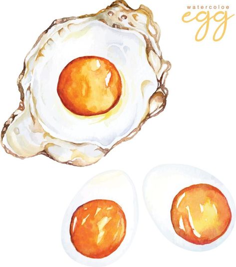 Hand draw fried egg and boiled egg with watercolor.American breakfast.Protein foods for health care. Protein Drawing, Fried Egg Drawing, Egg Watercolor, Breakfast Protein, Salted Egg Yolk, Over Easy Eggs, American Breakfast, Salted Egg, Care Care