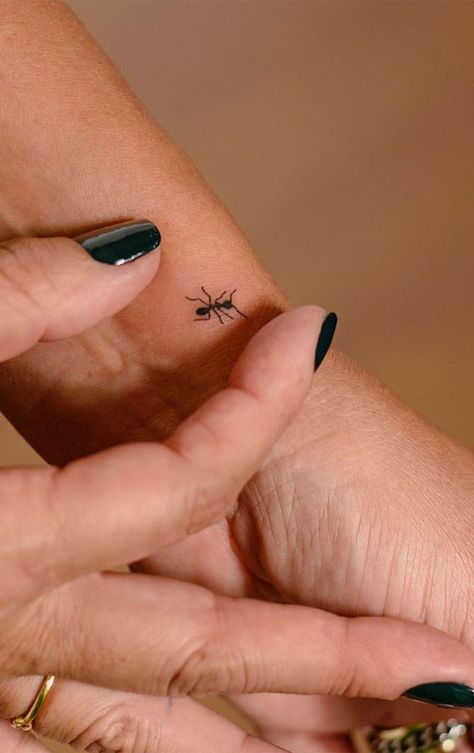 Simple Deep Meaning Tattoos, Deep Simple Tattoos, Tiny Ant Tattoo, Small Ant Tattoo, Ant Tattoo Small Cute, Ant Tattoo Design, Tiny Insect Tattoo, Realistic Ladybug Tattoo, Mini Tattoos With Meaning Unique