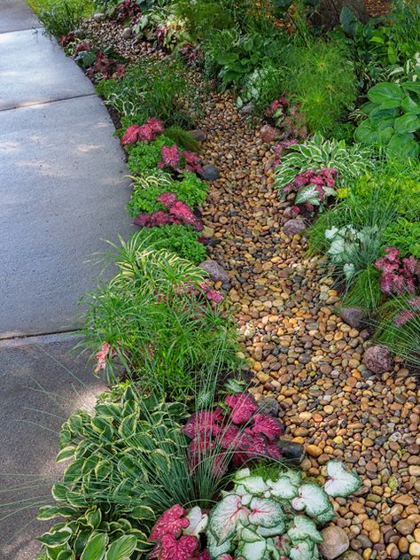 Garden Inspiration Front Yard, Rain Garden Front Yard, Dry Creekbed Garden, Rock Rain Garden, Rain Scaping, Garden Hill Ideas, Rainscaping Ideas, Rain Garden Diy, Rain Garden Ideas