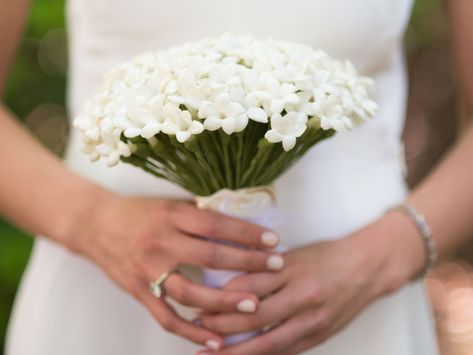 Minimalist bouquet 2019 bouquet trends Stephanotis Wedding Bouquet, Lavender Wedding Bouquet, Small Bridal Bouquets, Small Wedding Bouquets, Wedding Flower Trends, Simple Wedding Bouquets, Wedding Manicure, Summer Wedding Bouquets, Bridal Bouquet Flowers