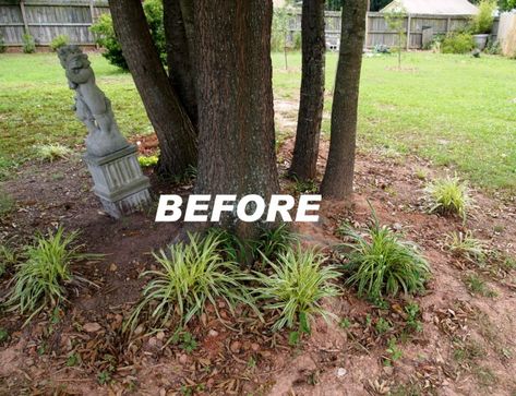 planting under mature trees - the before Plants Under Trees Ideas, Garden Ideas Under Trees, Front Yard Tree Landscaping, Mulch Around Trees, Garden Design Layout Landscaping, Tree Mulch, Trees For Front Yard, Plants Under Trees, Landscaping Around Trees