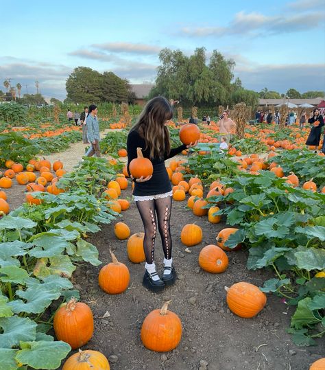 Pumpkin Picking Photoshoot, Spooky Sleepover, Autumn Goals, Fall Poses, Pumpkin Patch Photoshoot, Pumpkin Patch Pictures, Pumpkin Photos, Spooky Fall, Artsy Photos