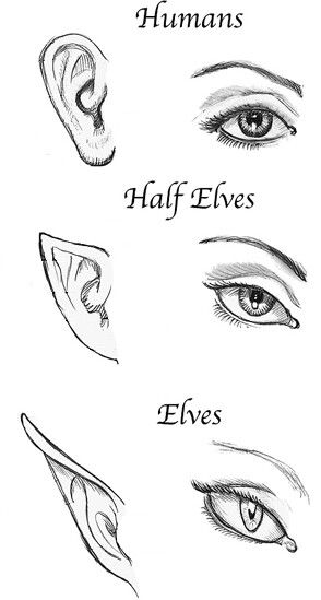 Elf Drawings, Half Elf, Pencil Art Drawings, Anime Drawings Tutorials, Art Tutorials Drawing, Sketchbook Art Inspiration, Art Drawings Sketches Simple, Art Inspiration Drawing, Drawing Tips