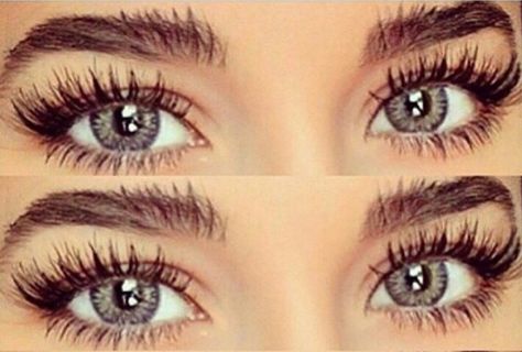 Fluffy lashes and brows #eyelashes #thick #eyebrows #makeup Extremely Long Eyelashes, Long Lashes And Thick Brows, Thick Eyebrows And Eyelashes, Thick Eyebrows And Lashes, Long Eyelashes And Thick Eyebrows, Thick Eyelashes, Long Eyelashes, Super Long Eyelashes, Long Eyebrows