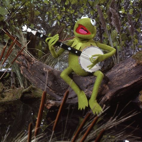 Kermit the Frog Sapo Kermit, The Muppet Movie, Painting Stuff, Fraggle Rock, Rainbow Connection, The Muppet Show, Miss Piggy, Kermit The Frog, A Frog