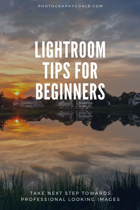 Using Lightroom Photo Editing, Photoshop Editing Tips, Light Room Tips Photo Editing, Professional Photography Tips, Editing Tips Photography, How To Edit On Lightroom, Photography Editing Tips, How To Use Lightroom Photo Editing, Light Room Editing Filter Tutorial