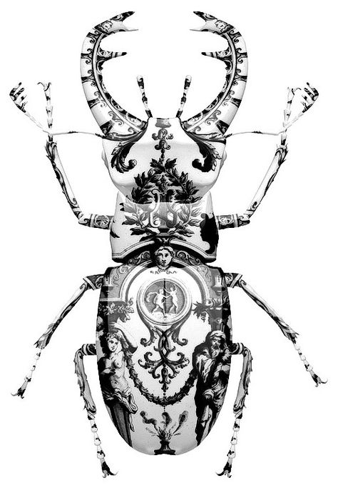 Beetle Art, Bug Art, Stag Beetle, Insect Art, Bugs And Insects, Delft, Printmaking, Sculpture Art, Saatchi Art