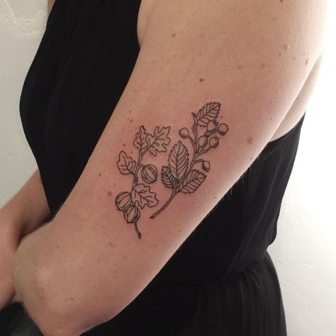 “Floral design for Agata 〰🌱➰🌿 #handpoke #floraltattoo #sticknpoke #dotwork #romantic” Berry Tattoo, Olivia Harrison, Saskatoon Berry, Hand Poke, Stick And Poke, Ink Stain, Piercing Tattoo, Body Mods, Inspirational Tattoos