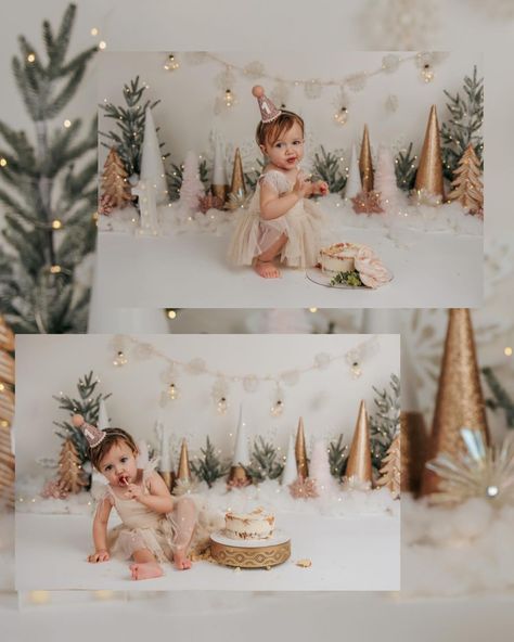 Cake Smash Decoration Ideas, Winter First Birthday Photoshoot, Winter Onederland Cake Smash, Cake Shoot, Bday Pictures, Winter Onederland Cake, Winter Onederland Birthday Party, Onederland Birthday Party, Twins Birthday