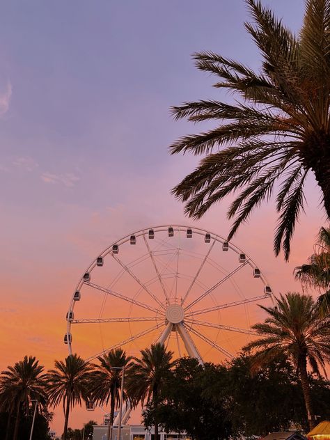 📍panama city, fl #skywheel #sunset #beach #summeraesthetic #summer #ferriswheel Pier Park Panama City Beach, Bay County, Panama City Florida, Panama City Beach Florida, Panama City Beach, Sunshine State, Panama City, Sunset Beach, Panama City Panama