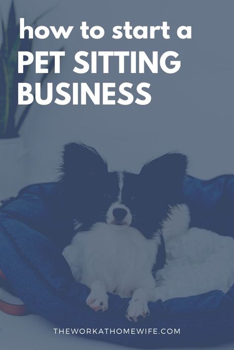 If you love animals, you can tap into the hot pet industry. Here's how to start a pet sitting business and fill the needs of pet parents in your area. Kennel Business, Dog Sitting Business, Pet Sitting Business, Dog Walking Business, Grooming Business, Addition Word Problems, Pet Boarding, Dog Grooming Business, Pet Businesses