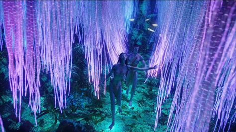 Bioluminescence Pandora, Tayrangi Clan, Avatar Room, Avatar Birthday, Different Types Of Aesthetics, Jake And Neytiri, Avatar Shifting, Avatar Aesthetic, Avatar Poster