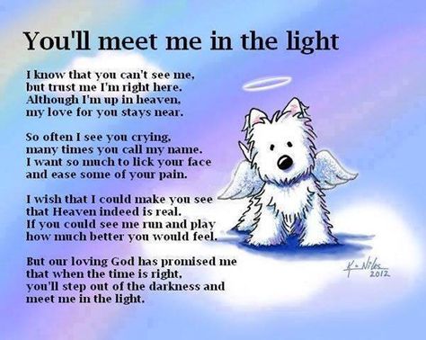 Beautiful tribute for anyone who loses a beloved pet. Fu Dog, Love My Dog, Memorial Tattoos, Mia 3, Losing A Pet, Pet Loss, Animal Quotes, Dog Quotes, An Angel