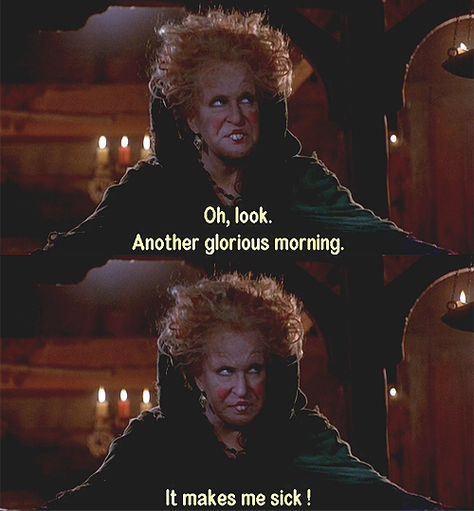 "Oh look. Another glorious morning. It makes me sick!" -Hocus Pocus SISTAAAS! Hahaha.. What A Glorious Morning Hocus Pocus, Hocus Pocus Memes Humor, Hocus Pocus Movie Quotes, Hocus Pocus Another Glorious Morning, Oh Look Another Glorious Morning Quote, Hocus Pocus Lockscreen, Hocus Pocus Meme, Another Glorious Morning Hocus Pocus, Hocus Pocus Quotes