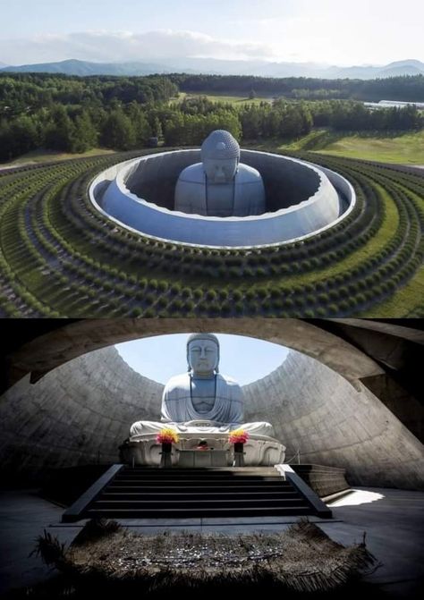 Hill Of The Buddha, Buddha Room Design, Japan Buddha, Buddhist Architecture, Lavender Plants, Sapporo Japan, Buddhist Shrine, Modernist Architects, Tadao Ando