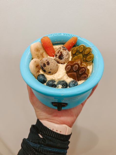 What To Add To Dog Food, Dog Food Bowl Aesthetic, Toppl Dog Recipes, Toppl Dog, Food Bowl Aesthetic, Raw Cat Food Diet, Bowl Aesthetic, Pet Treats Recipes, Raw Pet Food