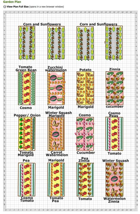 Great Looking Vegetable and Cut Flower Garden Plan - And planting some flowers with veggies ( marigolds and tomatoes) might cut down on pests! Vegetable Garden Layout Design, Flower Garden Plans, Backyard Garden Layout, Garden Layout Vegetable, Backyard Plan, Vegetable Garden Planning, Garden Plan, Garden Design Layout, Flower Garden Design