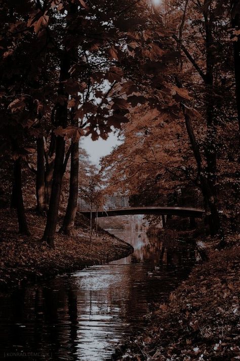 Brown Eyes Aesthetic, Dark Academia Wallpaper, Venomous Snakes, Dark Autumn, Pretty Landscapes, Autumn Scenery, Brown Wallpaper, Dark Academia Aesthetic, Fantasy Aesthetic