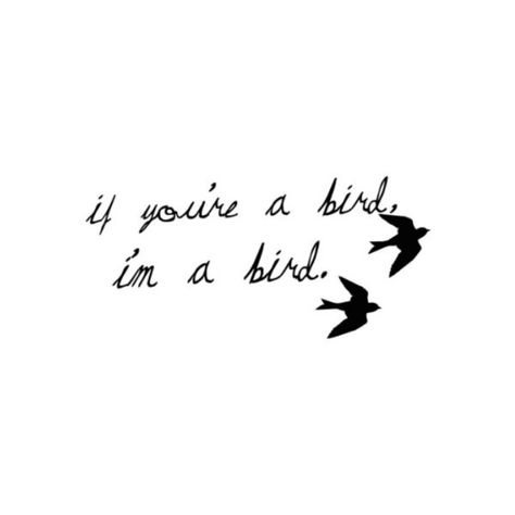 Cute tattoo idea!! Love Bird Tattoo Couples, Notebook Quotes, Quotes Change, Quotes Summer, Surfing Quotes, The Notebook Quotes, Bird Quotes, Favorite Movie Quotes, Taurus Facts