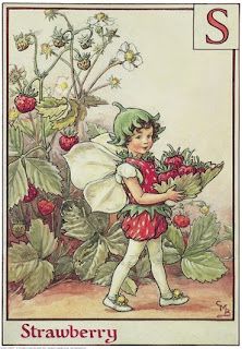 Alphabet Fairies, Mary Cicely Barker, Strawberry Fairy, Fairy Drawings, Fairy Illustration, Cicely Mary Barker, Fairy Garden Decor, Vintage Fairies, Flower Fairies