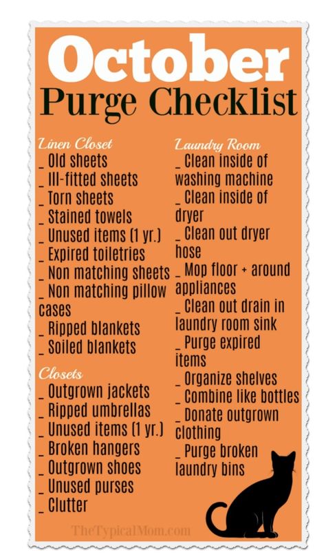 Fall Cleaning Checklist, Cleaning Painted Walls, Fall Cleaning, Deep Cleaning Tips, Clean Dishwasher, Simple Life Hacks, Toilet Cleaning, Cleaning Checklist, Cleaning Schedule