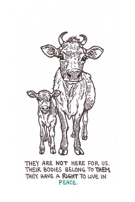 Please let them live in peace #goVEGAN Vegan Facts, Live In Peace, Vegan Art, Vegan Vibes, Vegan Memes, Animal Activism, Vegan Quotes, Why Vegan, Animal Liberation