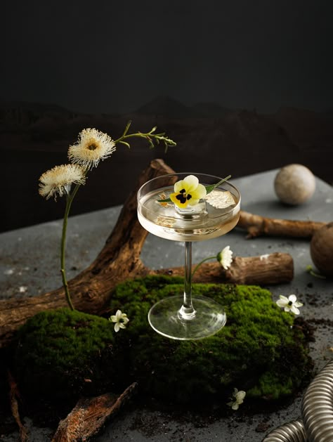 Rising From The Ashes, Cocktail Photography, Wine Photography, Rise From The Ashes, Food Drink Photography, Advertising Photography, Food Plating, Kombucha, Photography Inspo