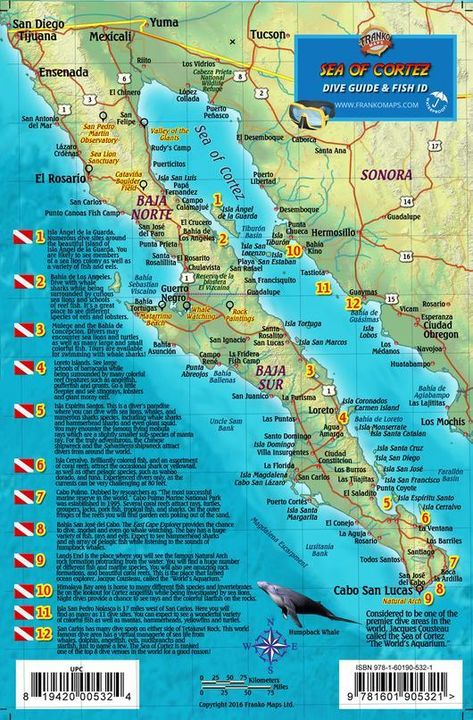 Sea of Cortez Fish Card, Mexico Map, Sea Of Cortez, Baja California Mexico, Travel Mexico, Fishing Cards, Adventure Map, Baja California Sur, Road Trip Fun