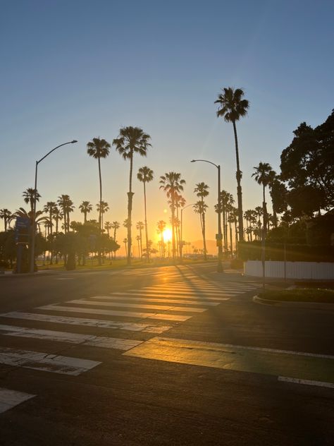 ocean park, beach, santa monica, sunset, golden hour Santa Monica Sunset, Beach Santa, Santa Monica Beach, Ocean Park, The Sunrise, Santa Monica, Golden Hour, Sunrise Sunset