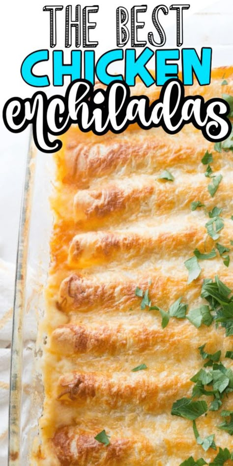 Recipes Using White Corn Tortillas, White Corn Tortilla Recipes, Best White Chicken Enchiladas, Chicken Enchiladas With White Sauce, Enchiladas With White Sauce, Flour Tortilla Enchiladas, Creamy White Chicken Enchiladas, White Sauce Enchiladas, Enchiladas Recipes