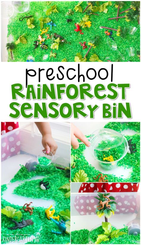 Preschool: Rainforest - Mrs. Plemons' Kindergarten Rainforest Dramatic Play, Rainforest Activities For Toddlers, Rainforest Sensory Bin, Preschool Rainforest Theme, Sensory Activities Preschool, Rainforest Games, Rainforest Worksheets, Preschool Rainforest, Jungle Theme Activities