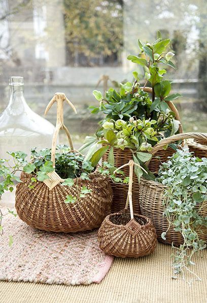 Plants In Baskets, Happy September, Basket Case, Deco Nature, Pillow Arrangement, 강아지 그림, Woven Baskets, Decorative Pillows Couch, Gold Pillows