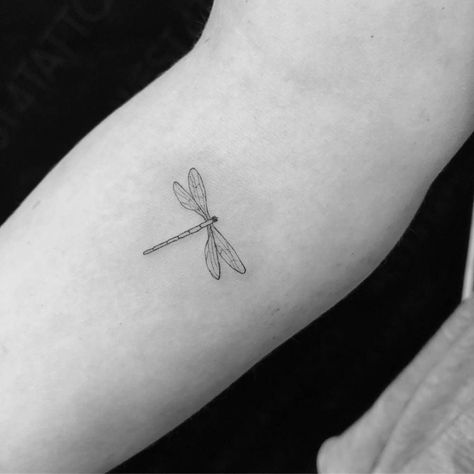 Fine Line Dragonfly Tattoo Design, Small Fine Line Dragonfly Tattoo, Small Dragon Fly Tattoo For Women, Minimalistic Dragonfly Tattoo, Dragon Fly Tattoo Fine Line, Dragonfly Tattoo On Arm, Dragonfly Tattoo Forearm, Dragonfly Line Tattoo, Dragonfly Outline Tattoo