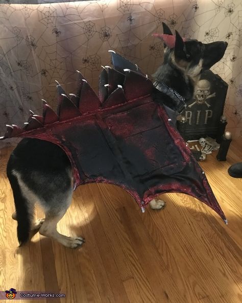 Dog Dragon Costume Diy, Dog Dragon Costume, Dog Costume Diy, Dog And Owner Costumes, Dog Dragon, Dragon Halloween Costume, Dragon Dog, Dragon Halloween, Metal Coat Hangers