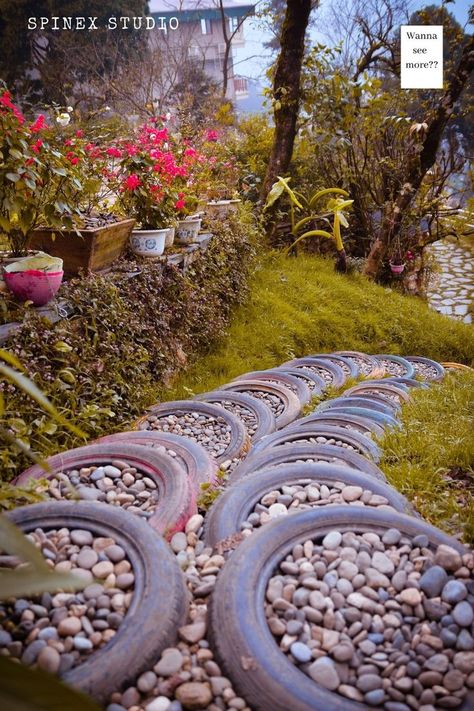 Pebble Garden, Play Garden, Garden Walkway, Pebble Stone, Creative Gardening, Olive Garden, Garden Stones, Succulents Garden, Garden Paths