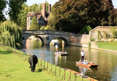 17 Best Places to Visit in England Southern England Travel, Places To Visit In England, Southern England, York Minster, Long Lake, Georgian Architecture, Live Theater, Jurassic Coast, Language Barrier