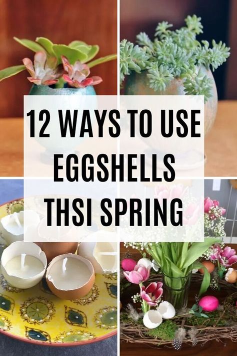 Easter is over so why not repurpose those eggshells with these budget friendly fun DIY crafts for your home decor. How to reuse egg shells fun kids crafts and ideas. Egg Shell Candles, Egg Shell Crafts, Eggshell Crafts, Shell Candles Diy, Homemade Bug Repellent, Fun Kids Crafts, Easter Food Crafts, Shell Diy, Egg Craft