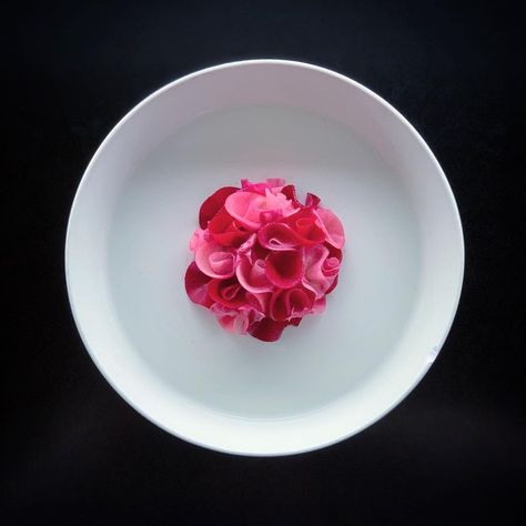 JAMIE LEE on Instagram: “PINK ALERT! Trout tartare garnished with radishes marinated in spiced beetroot juice and finished with wild roses. From October 2019.” Beetroot Tartare, Radish Garnish, Jamie Lee, Radishes, Pink Art, Recipe Images, Wild Roses, Pink Love, Fine Dining