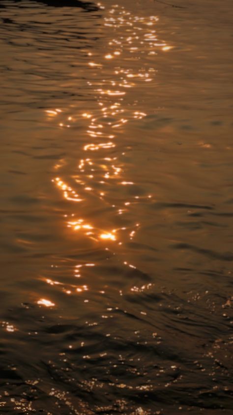 Water Yellow Aesthetic, Golden Dust Aesthetic, Golden Water Aesthetic, Golden Lights Aesthetic, Golden Asthetic Walpaper, Gold Water Aesthetic, Chris Core Aesthetics, Aesthetic Water Pictures, Sunshower Aesthetic