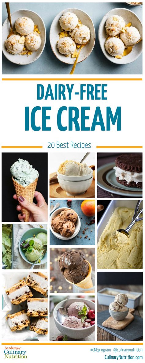 20 Best Dairy-Free Ice Cream Recipes Dairy Free Ice Cream Maker Recipes, Dairy Free Ice Cream Cake, Lactose Free Ice Cream, Homemade Ice Cream Recipes Machine, Kitchen Aid Ice Cream, Non Dairy Ice Cream, Ice Cream Recipes Machine, Cuisinart Ice Cream Maker, Vegan Ice Cream Recipe