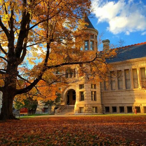 Maxwell Hall, IU Bloomington Iu Bloomington, Indiana University Bloomington, Loyola Chicago, College List, Dream College, Indiana State, Indiana University, Fall Day, Med School