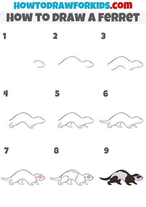 how to draw a ferret step by step How To Draw Ferrets, How To Draw A Ferret, Gems Drawing, Useful Skills, Gem Drawing, A Ferret, Disney Princess Colors, Disney Princess Coloring Pages, Sketching Tips