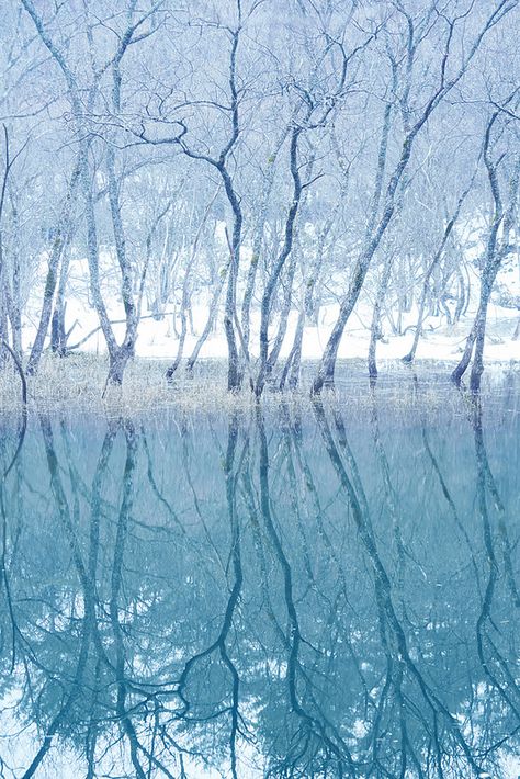 北海道 / Hokkaido                                                                                                                                                                                 もっと見る Ice Blue Aesthetic, Hokkaido Travel, Forest Mirror, Ice Forest, 자작나무 그림, Japan Hokkaido, Era Victoria, Ice Blue Color, Hokkaido Japan