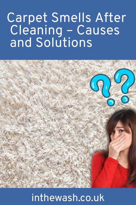 🌸✨ Carpet care conundrum? Unlock the mysteries of post-cleaning carpet smells. Explore causes, solutions, and the best methods for a fresh and clean carpet! 🧼🏠 Musty Carpet Smell How To Remove, Dishwasher Smells Bad, Smelly Carpet, Apartment Carpet, Cleaning Carpets, Carpet Powder, Carpet Smell, Pee Smell, Clean Carpet