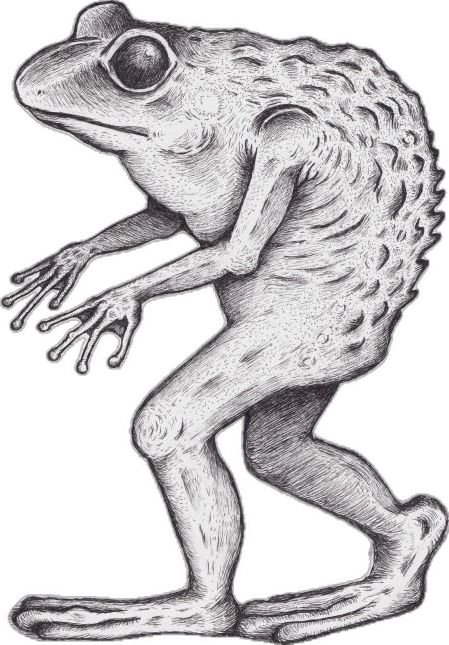 Loveland Frog, Loveland Frogman Tattoo, Evil Frog Drawing, Creepy Frog Drawing, Medieval Frog, Cryptidcore Aesthetic, Frog Tattoos, Love Monster, Spooky Tattoos