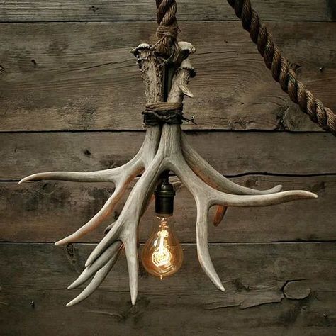 Antler Projects, Antler Ideas, Antler Lamp, Deer Antler Decor, Horns Decor, Antler Lights, Antlers Decor, Antler Crafts, Deer Horns