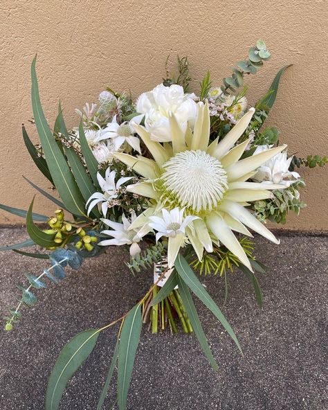 White King protea bouquet King Protea Bouquet, White King Protea, Native Bouquet, Mixed Eucalyptus, Protea Bouquet, Flannel Flower, King Protea, Protea Flower, Paper Daisy