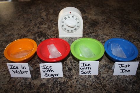 Science - ice melting experiment Do this w/other substances Science Experience, Pre-k Science, 4th Grade Science, Stem Challenge, 5th Grade Science, Fair Projects, Kindergarten Science, Science Fair Projects, Preschool Science