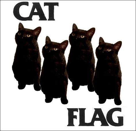 These hardcore cats that are doing their best to keep the scene alive. | Community Post: 44 Of The Most Important Black Cats In Black Cat History Black Flag Logo, Cat Flag, Black Cat Tattoos, Black Flag, Flag Logo, Cat Tattoo, Black Cats, Crazy Cat Lady, Crazy Cats